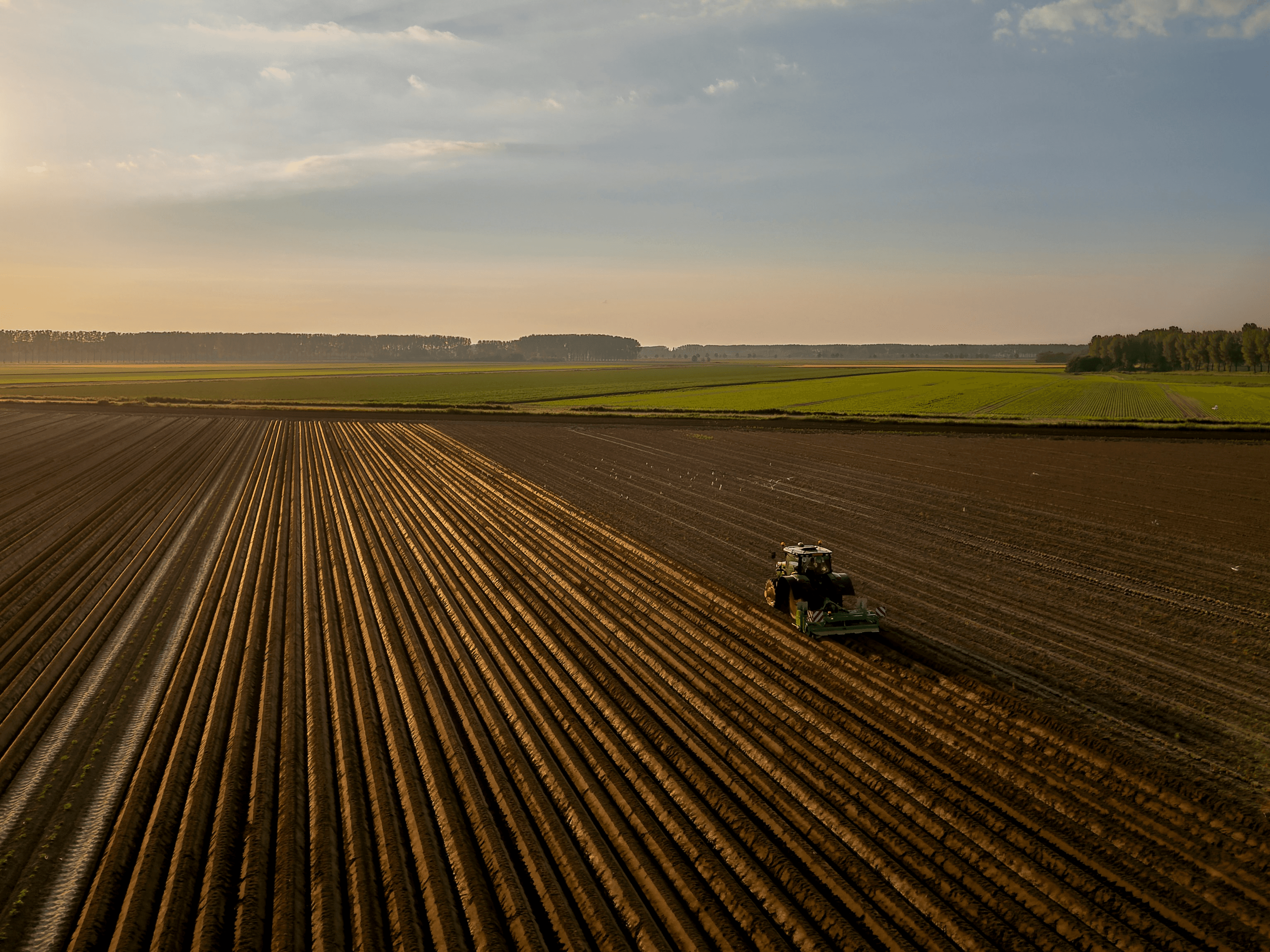 Agricultural landscape